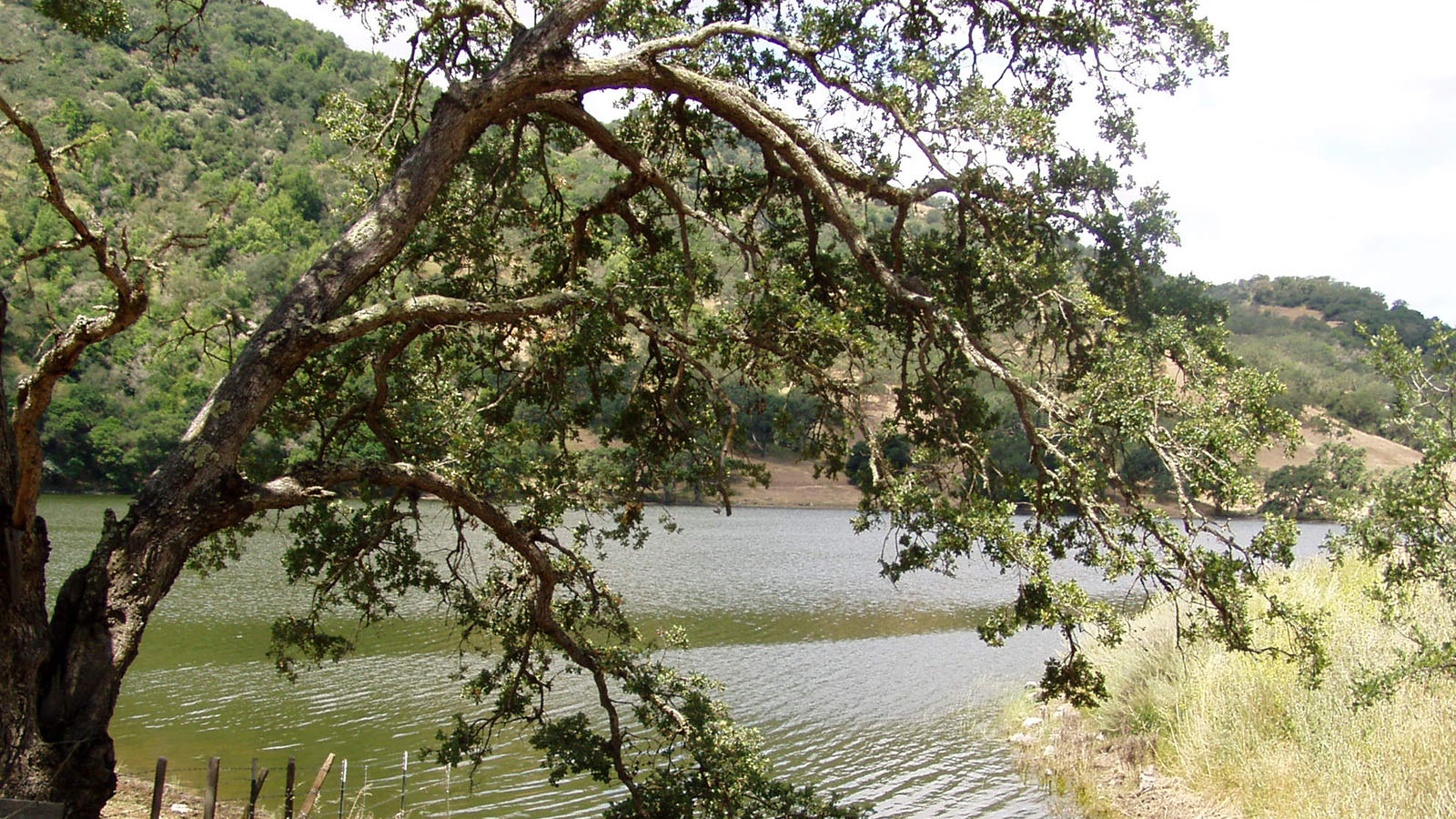 Clark Company Rancho El Toro